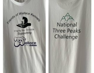 1 T-shirt, 1 amazing lady and 3 peaks