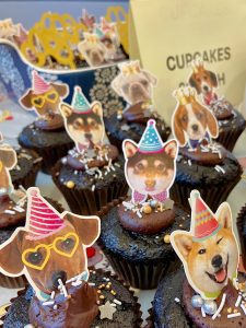 Friends of Wallace Kennels afternoon tea event