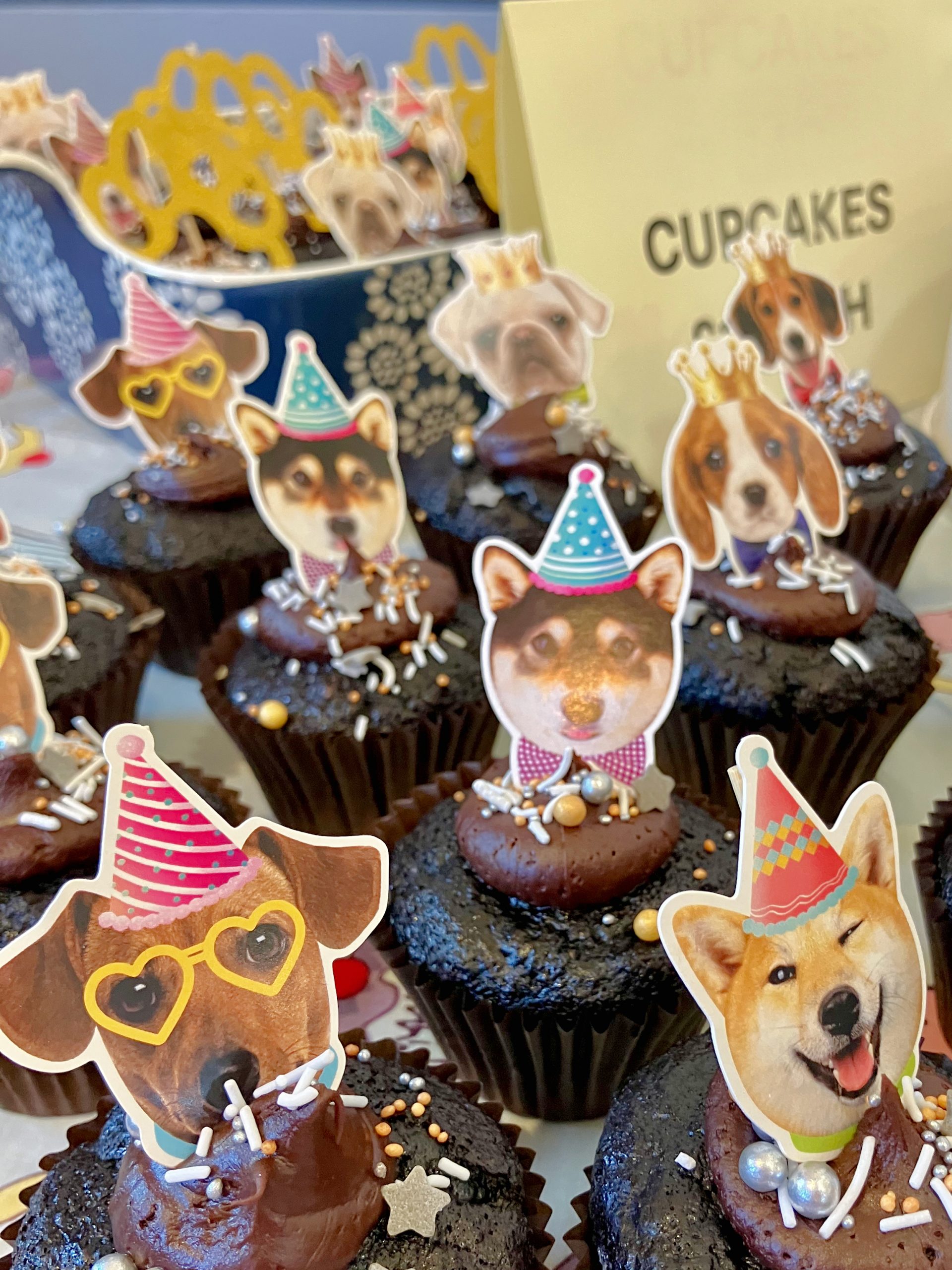 Friends of Wallace Kennels afternoon tea event